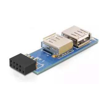 DeLOCK 9 pinos 2,54 mm conector USB 2.0 41820