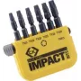 Conjunto de bits C.K. 6 peças TORX Torsion Control Technologie (T4513)