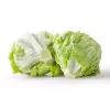 Sementes de alface Crisp Ice Summer Toraf, embalagem de 1 g