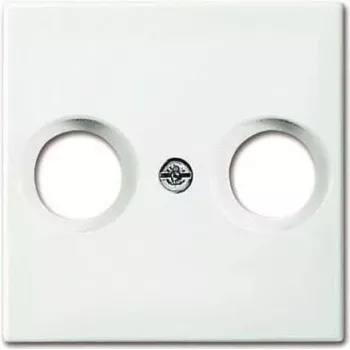 Placa de parede/Tampa de interruptor Busch-Jaeger 1724-0-4334 Branco para Busch-balance SI
