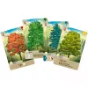 Mischwald, jogo de cartas