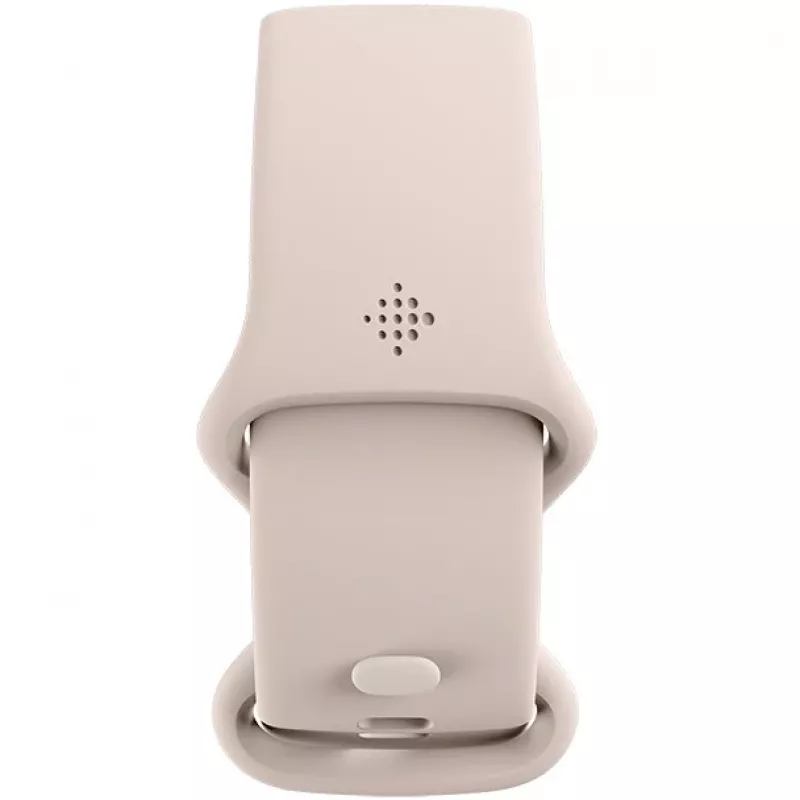 Fitbit GA05185-EU Produto Prateado