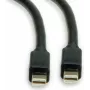 Roline cabo de ligação DisplayPort 1,00 m 11.04.5817 blindado preto [1x ficha Mini-DisplayPort - 1x ficha Mini-DisplayPort] (11.04.5817)