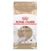 Royal Canin Sphynx Adult alimento seco para gatos, 2 kg