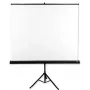 Tela de projeção Avtek Tripod Standart 175 1:1