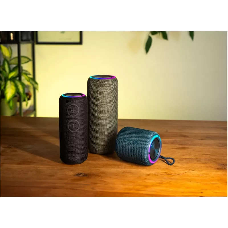Altifalante Bluetooth SIRIUS 2 Preto Potência 20W