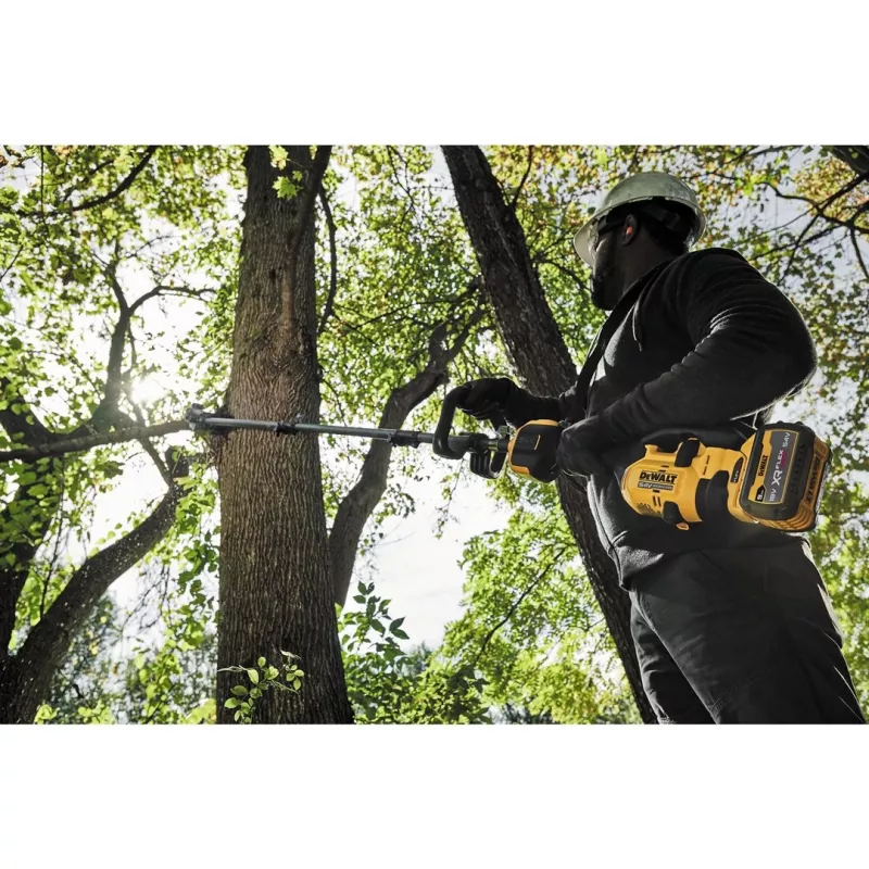 Acessório de poda em altura DeWALT