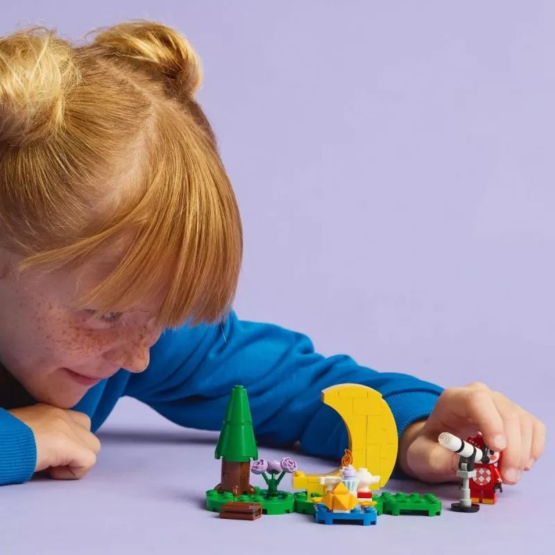 LEGO Animal Crossing Observação de estrelas com a Eufemia conjunto 77053