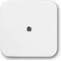 Busch Jaeger 1724-0-0921 placa de parede/tampa de interruptor branco (1724-0-0921)