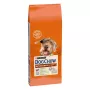 Purina Dog Chow Mature Senior alimento seco para cães com borrego, 14 kg
