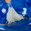 Kit de construção científica Liscianigiochi Crazy Science Slime no escuro 304-PL89239 — conjunto de experiências com slime que brilha no escuro