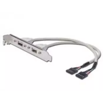 Cabo com chapa de slot USB Digitus AK-300301-002-E