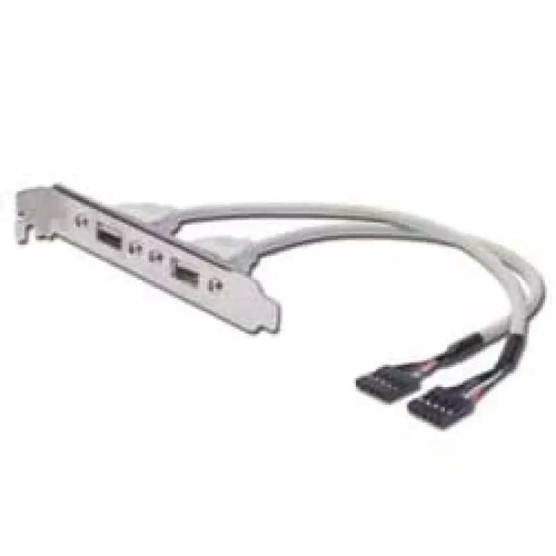 Cabo com chapa de slot USB Digitus AK-300301-002-E