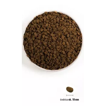 ORIJEN Guardian 8 - comida seca para gatos - 1,8 kg