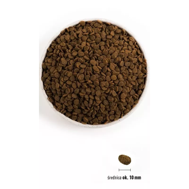 ORIJEN Guardian 8 - comida seca para gatos - 1,8 kg