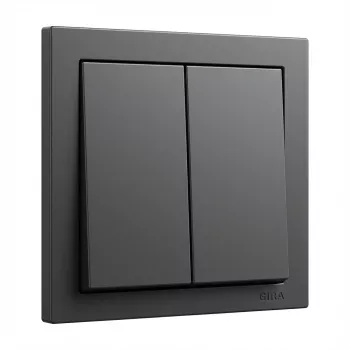 Tampa basculante GIRA System 55 dupla antracite (modelo 329528)