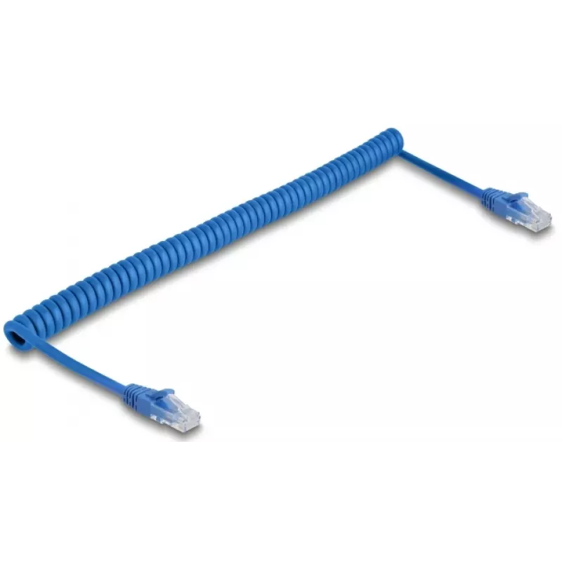 Cabo de rede DeLOCK 90197 Azul 1,2 m Cat6 U/UTP