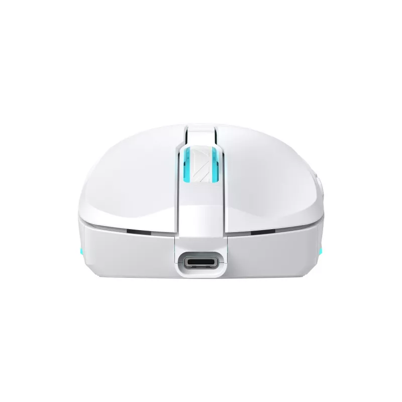Rato Baracuda BGM-122 Turtle branco TURTLE-W