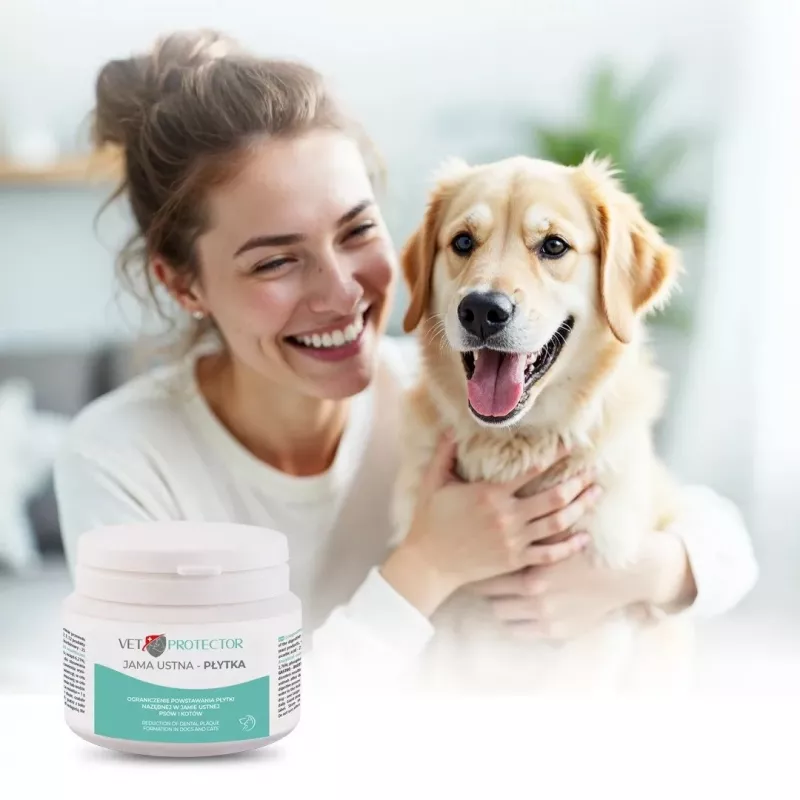 Pó de higiene oral JM Sante Vet Protector 60 g para cães e gatos, suplemento alimentar para animais de estimação adultos