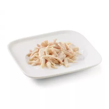 SCHESIR em geleia frango - comida húmida para cães - 150 g