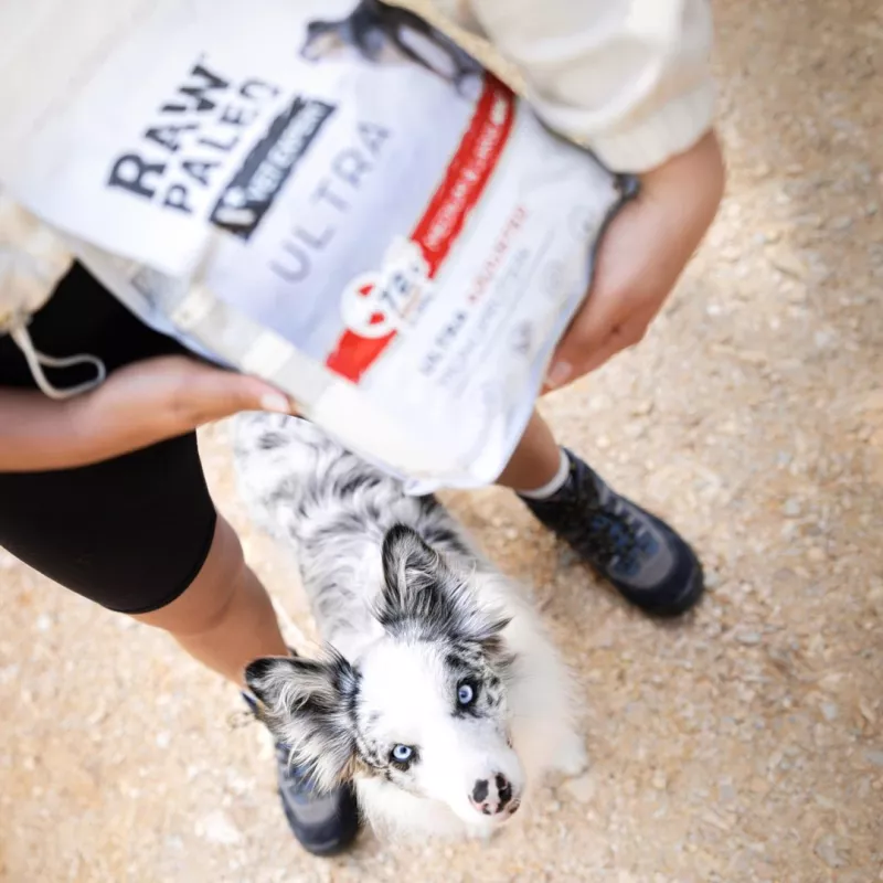 RAW PALEO Ultra Medium&Large Puppy Beef - Comida seca para cachorros - 10 kg