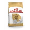 ROYAL CANIN Jack Russell Adult - ração seca para cães - 7,5 kg