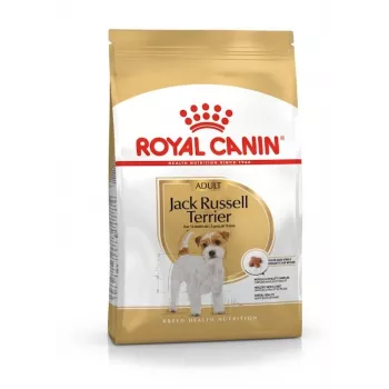 ROYAL CANIN Jack Russell Adult - ração seca para cães - 7,5 kg