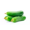 Sementes de pepino Polan F1 PNOS em fita, fita de 6 m