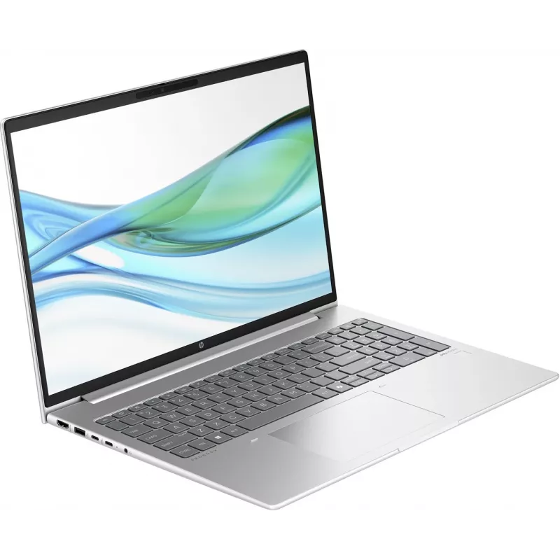 PC portátil HP ProBook 465 G11 AMD Ryzen™ 5 7535U 40,6 cm (16) WUXGA 16 GB DDR5-SDRAM 512 GB SSD Wi-Fi 6E (802.11ax) Windows 11 Home