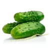 PNOS pepino Portal sementes em fita, 6 m