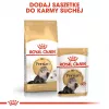 Royal Canin Persian Adult ração seca para gatos, 4 kg, milho, aves