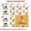Royal Canin Sphynx Adult alimento seco para gatos, 2 kg