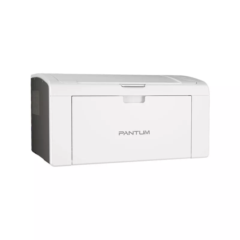 Impressora Pantum P2509W Laser branca