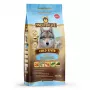 WOLFSBLUT Cold River Trout com Batata-doce - Alimento seco para cães - 12,5kg