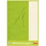 Caderno escolar Herlitz 690404 verde A4 25 folhas