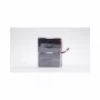 Bateria para UPS Eaton EB010SP, chumbo-ácido 6 V 9 Ah 2 unidades