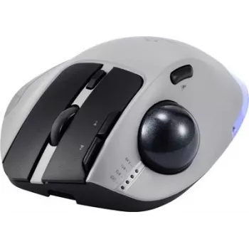 Renkforce RF-6697034 cinzento