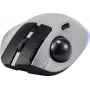Renkforce RF-6697034 cinzento