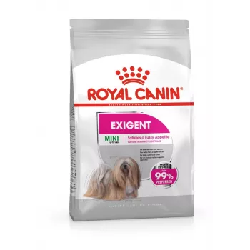 Comida seca para cães Royal Canin Mini Exigent 1 kg — raça pequena sénior, 30 % proteína, 22 % gordura