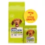 PURINA Dog Chow Adult Lamb - alimento seco para cães - 14 + 2,5 kg