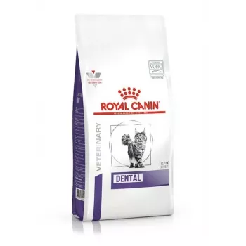 Ração seca para gatos Royal Canin Dental 1,5 kg — adulto, sabor a aves, 29% proteína, cuidados dentários