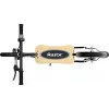 Troti elétrica Razor Ecosmart SUP
