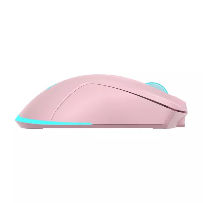 Rato Baracuda BGM-124 Turtle rosa TURTLE-P