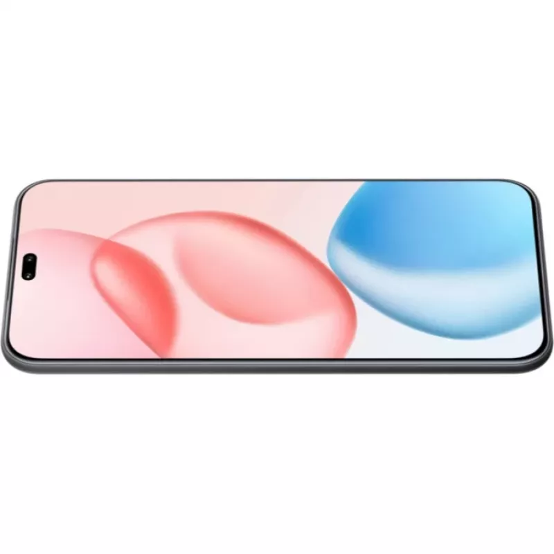 Honor 400 Pro 17 cm (6,7 polegadas) MagicOS 9.0 5G 12 GB 512 GB 5300 mAh preto