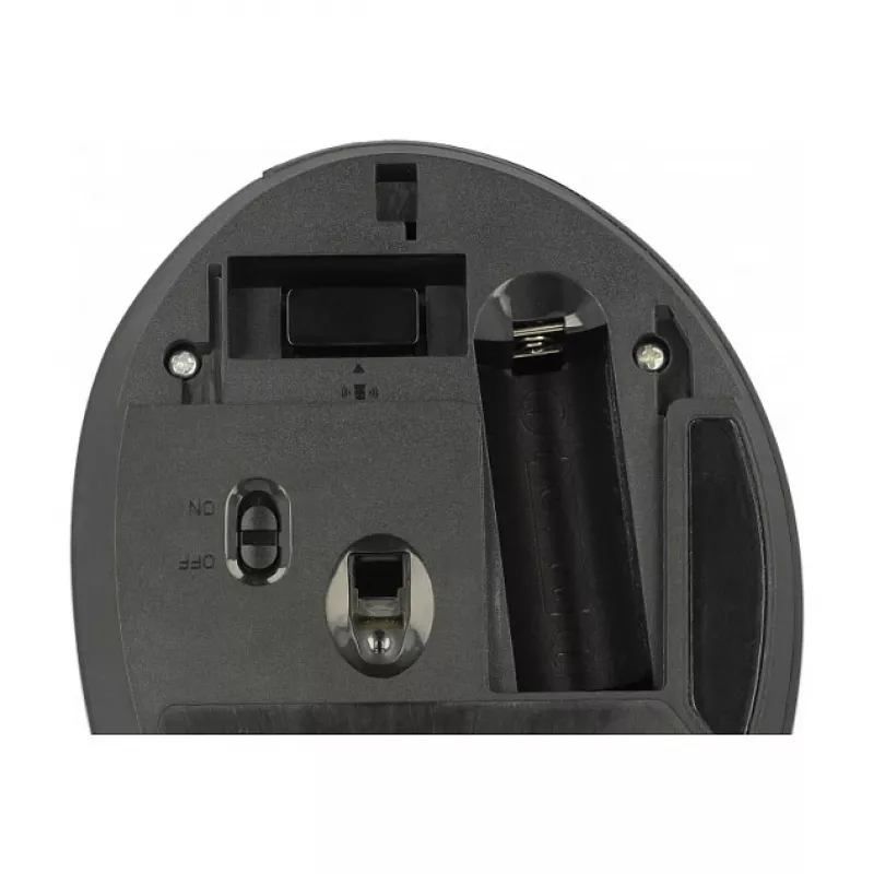 Rato DeLOCK 12599 RF sem fios destro 1600 DPI