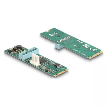 DeLOCK placas/adaptadores de interface 61065 interno USB 3.2 Gen 1 M.2 macho