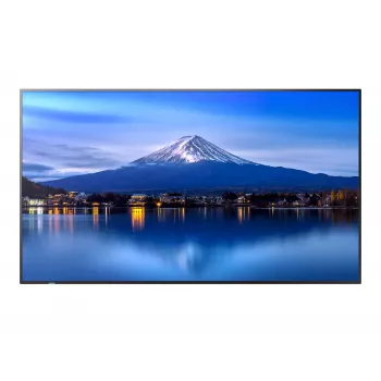 Ecrã de grande formato SHARP NEC P506 50 polegadas P-Série UHD
