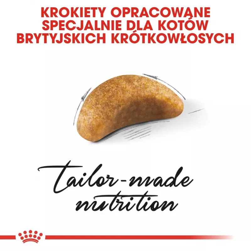 Ração seca para gatos Royal Canin British Shorthair Kitten 2 kg – frango, 38% proteína, 20% gordura, fórmula de crescimento