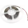 Tira LED EUROLITE 300 5m 3528 3000K 12V (50530106)