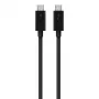 Cabo USB-C para USB-C Belkin F2CD084bt0.8MBK 0,8 m 40 Gbit/s preto